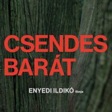 Silver Hugo-díjat nyert Pálos Gergely