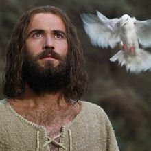 606. TV-mentes nap (dec. 26.)