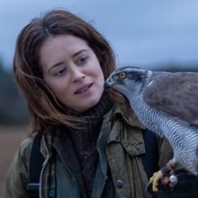 The lady and the hawk. (aug. 31.-szept. 3.)